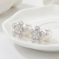Zirconia Frost Earrings