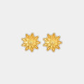 Solveig – Harmonious Calmness